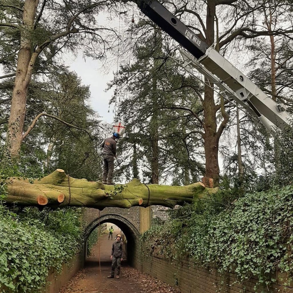 Felled trunk lowered across a brick tunnel by a grab, with a climber standing on it