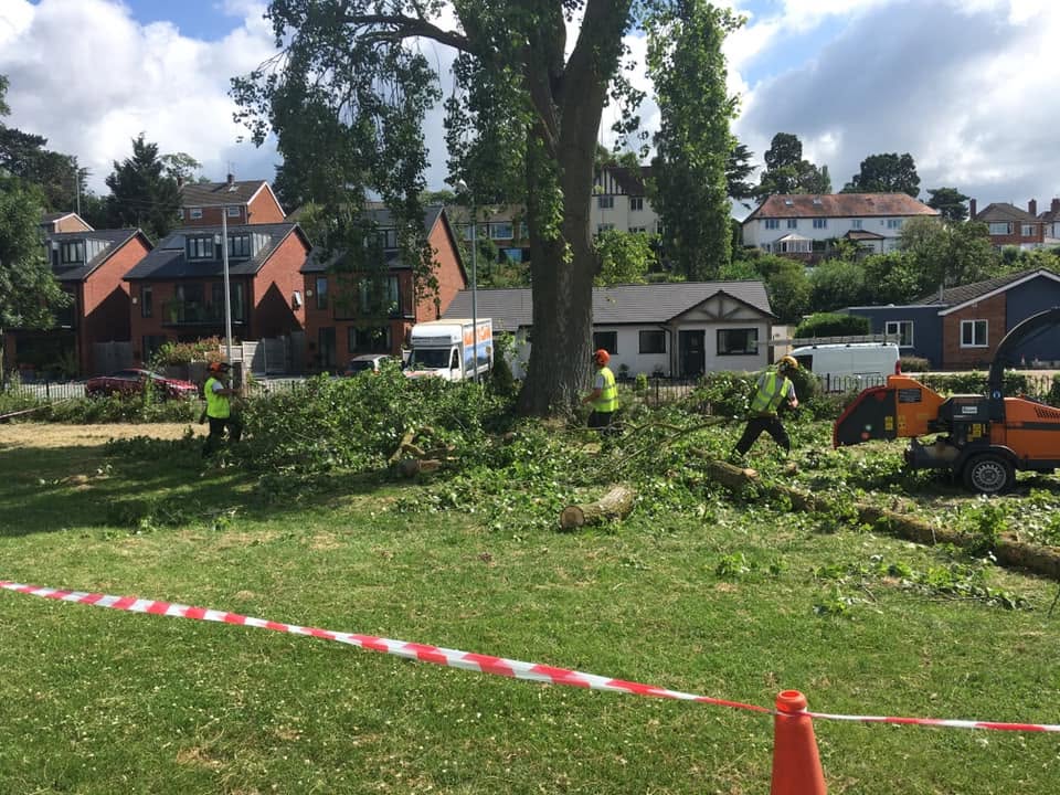 Crew in hi-vis clearing a felled tree with an orange chipper, the area taped off